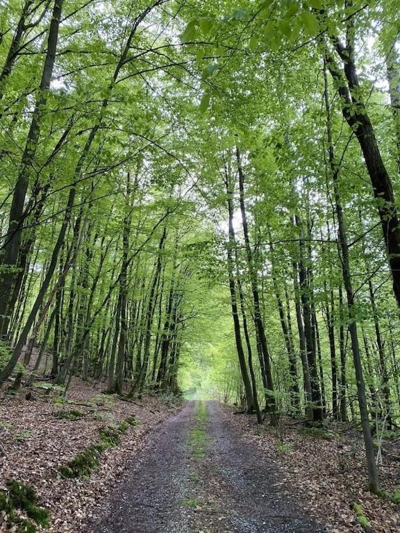 Ganze Ferienwohnung In Idyllischer Umgebung Werdohl المظهر الخارجي الصورة